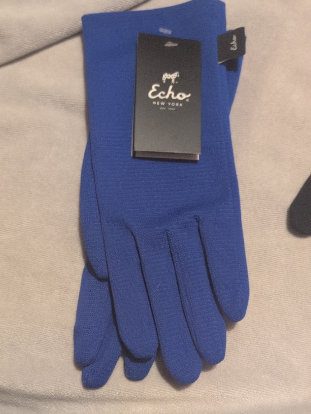 Echo Women's Royal Blue Knit Errand Gloves